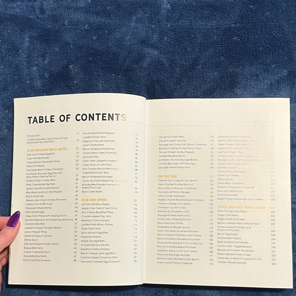 The Big Book of Air Fryer Recipes - Picture 4 of 5